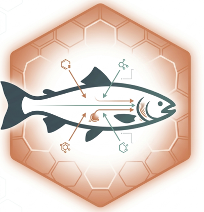 Fish in hexagonal honeycomb showing fulvic acid pathway